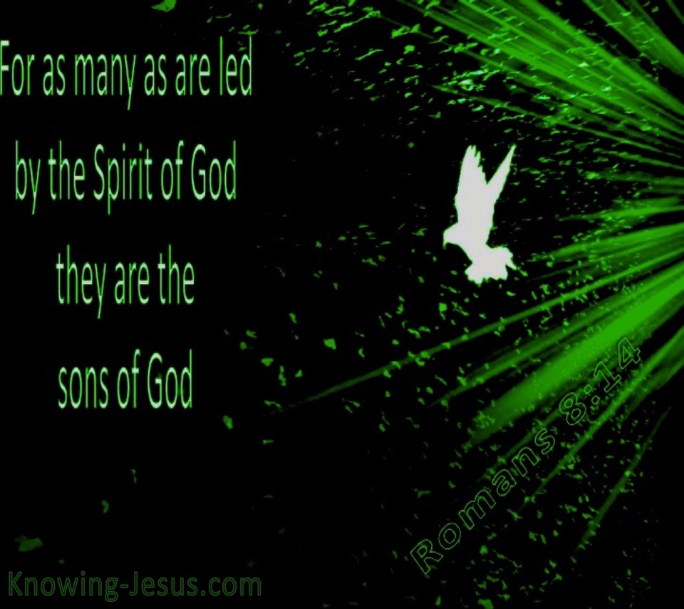 Romans 8:14 Led By The Spirit (green)